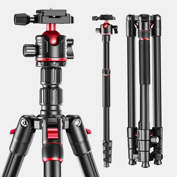 Discover the T175BM: The Ultimate 2-in-1 Tripod and Monopod, Now Available for Pre-Order - ROODTUO