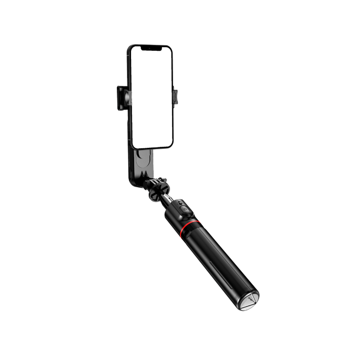 S02 - Plus Versatile Umbrella - style Selfie Stick with Detachable Fill Lights - ROODTUO