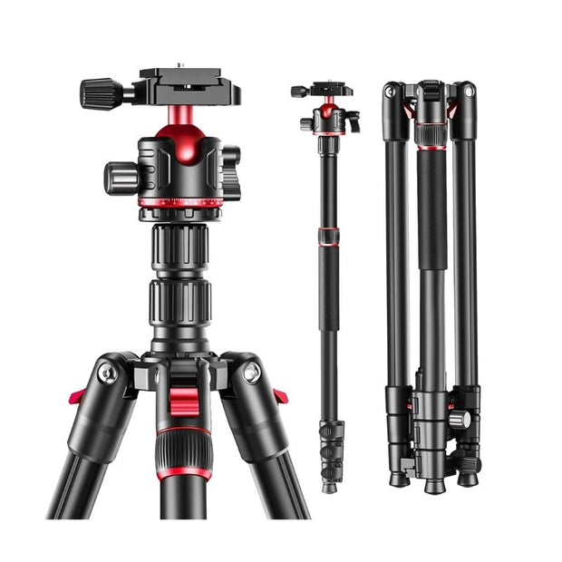 T175BM Pre - Order 2 - in - 1 Tripod & Monopod with 360° Ball Head, Lightweight Aluminum, Max Height 180cm, Supports Up to 5kg - ROODTUO