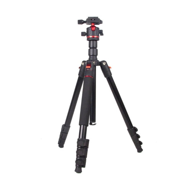 T175BM Pre - Order 2 - in - 1 Tripod & Monopod with 360° Ball Head, Lightweight Aluminum, Max Height 180cm, Supports Up to 5kg - ROODTUO